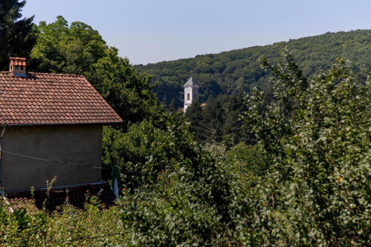 Mi Casa 2 Villa Vrdnik Luaran gambar