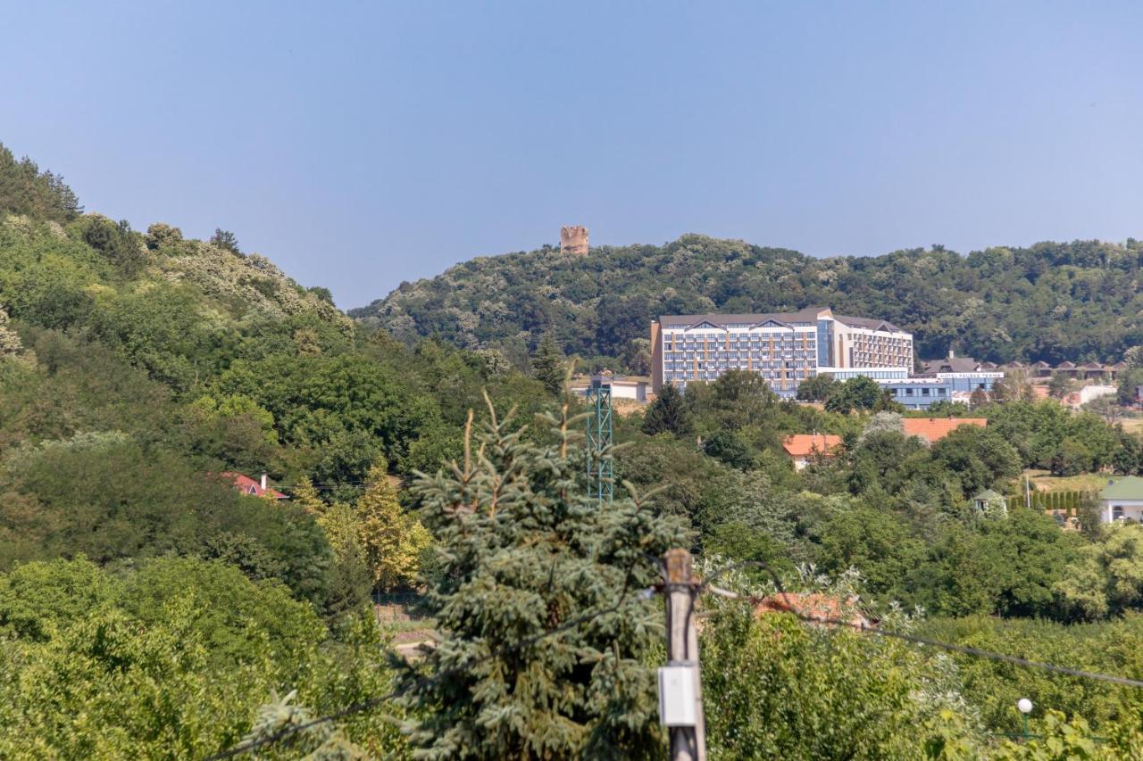Mi Casa 2 Villa Vrdnik Luaran gambar